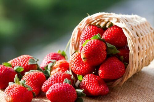 Strawberry from Turkiye supplied by Halidun - Red Fresh Strawberry
