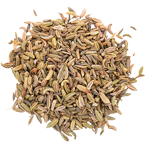 Cumin Seed from 인도 supplied by Spice Essence International LLP - Jeera Bold 커민 씨