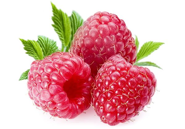 Raspberry from 포르투갈 supplied by PGG, Perspectivas de Gestão, Lda - Conventional 신선 라즈베리