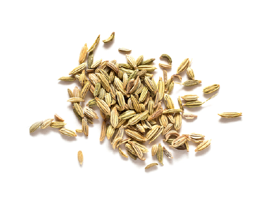 Fennel Seed from Singapore supplied by Dipak Trading Company Pte Ltd - Seed Fennel Seed