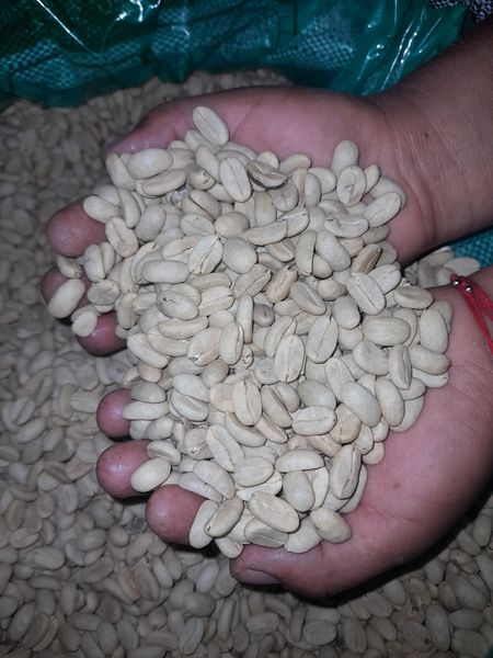 coffee from 페루 supplied by Cooperat. Agr. Cafet. Satipo Ltda - Roasted 생원두