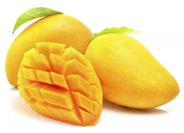 Mango from Vietnam supplied by Vegetexco Vietnam - Yellow Fresh Mango