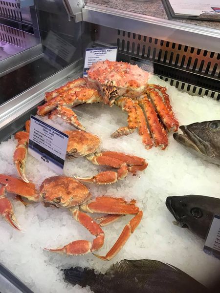 Crab from 노르웨이 supplied by ICE FISH AS - 원물 냉동 게