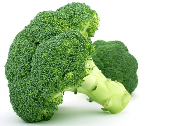 Broccoli from 스페인 supplied by AGRUPAPULPÍ, S.A. - Green 신선 브로콜리 꽃