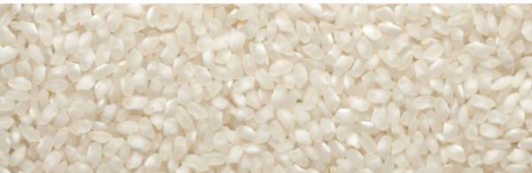 Round Grain Rice from 포르투갈 supplied by Novarroz - Round Grain 쌀