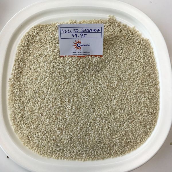 hulled sesame seed from 인도 supplied by Credence Agri Commodities Solutions Pvt. Ltd. - Unhulled 참깨