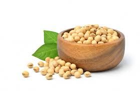 Soybean from 미국 supplied by NeCo Seed Farms - Seed 대두