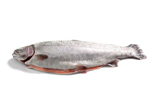 Rainbow Trout from 핀란드 supplied by KalaValtanen - 주황색 어육 냉동 송어