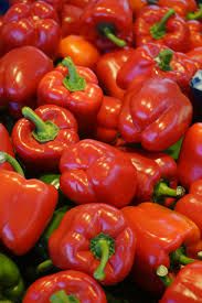 CAPSICUM from 베트남 supplied by Sapo Daklak Co., Ltd - Mini 신선 피망