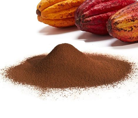 Premium Cacao Powder Available for Export Supply from Peru supplied by AMAZON ANDES EXPORT S.A.C. - Light Brown Cocoa Powder