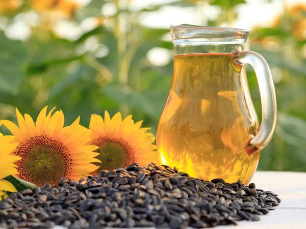 Sunflower Oil from Germany supplied by Bressmer & Francke (GmbH & Co.) KG - Glass Jar (=Glass Bottle) Refined Sunflower Oil