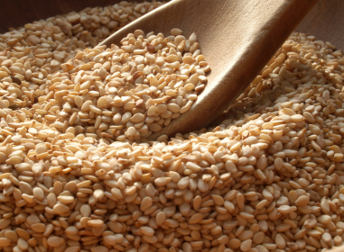 Sesame Seed from 폴란드 supplied by Grandex - Brown (=Golden=Yellow) 참깨
