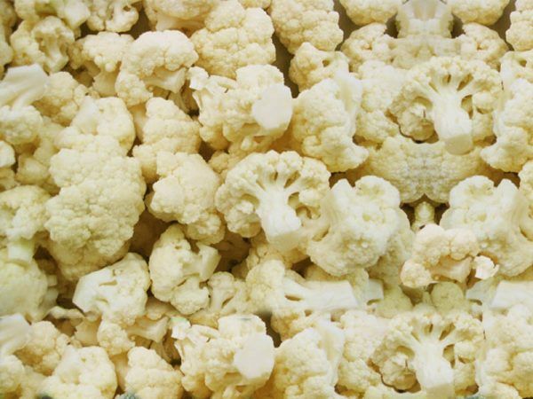 Cauliflower Florets from 인도 supplied by Global Foods - White 냉동 콜리플라워