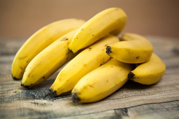 Banana from 남아프리카공화국 supplied by AH Ernst & Sons (Pty) Ltd (Allesbeste) - 신선 바나나