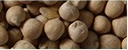 Chickpea from United States supplied by United Pulse Trading, Inc. - Dried (=Dehydrated) Dried Chickpea
