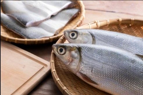 Fresh Milkfish from Taiwan supplied by Tianshifu Fishery Co.,Ltd. - Fresh (=Chilled=Raw) Frozen Milkfish
