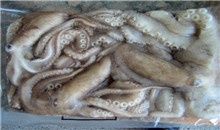 Frozen Octopus from China supplied by Changli County Yongjun Freezing Food Co., Ltd - Frozen - Raw Frozen Frozen Octopus