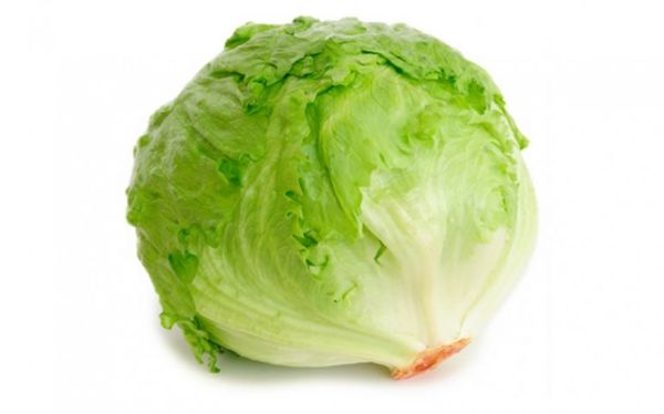 Iceberg Lettuce from 미국 supplied by Garcia Fresh Vegetables - Iceberg (=Crisphead=Heading) 신선 상추