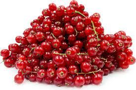 Fresh Currant from 체코 supplied by Zemědělská farma Bratkovice - Pavel Reš - Fresh (=Chilled) 커런트