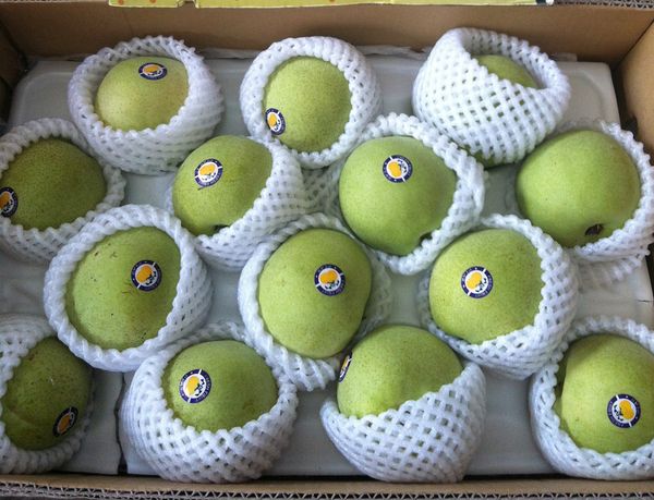 Crystal Pear from 중국 supplied by Fruitable Fresh (M) Sdn Bhd - Crystal 신선 배