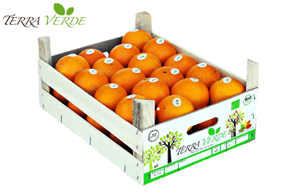 Fresh Oranges from Germany supplied by BIOFRUIT TRADING - Orange Fresh Orange
