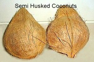Coconut from 인도네시아 supplied by Riefel Trade Company, CV - Mature 기타 신선 코코넛