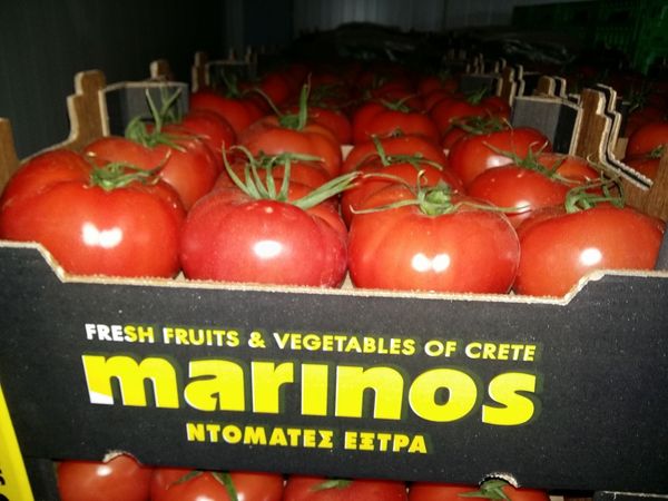 Fresh Whole Tomato from 그리스 supplied by Marinos S.A. - Red 신선 토마토