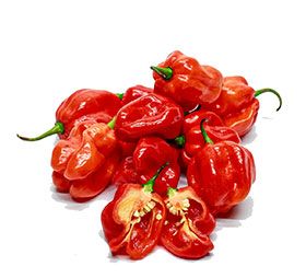 Habanero from 르완다 supplied by Souk IG Limited - Yellow 하바네로