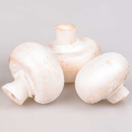 Mushroom from Romania supplied by BOGLAR CHAMP SRL - Brown Other Fresh Mushrooms
