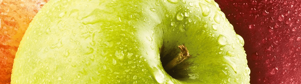 Concentrated Apple Juice (Clarified) from 그리스 supplied by CHB GROUP-VITOM SA - Fresh (=Chilled) 신선 사과