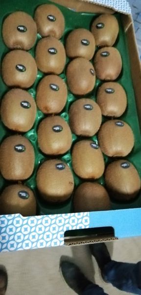 Kiwi from 포르투갈 supplied by Fruti-Taipina,LDA - Hayward 신선 키위