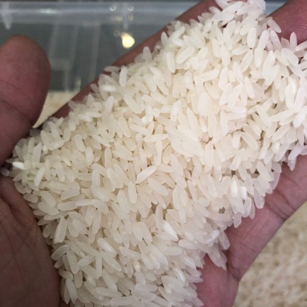 Jasmine Rice Nang Hoa Fragrant High Quality High Benefits Using For Food HALAL BRCGS HACCP ISO 22000 Certificate Customized Pack from 베트남 supplied by Reconnect International Limited Company - 식품용 쌀