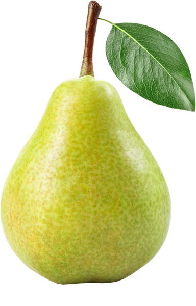 Pears from 미국 supplied by Chelan Fruit (CHELAN FRESH) - Starkrimson (=Red Clapp=Kalle=Red Crimson) 신선 배