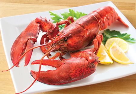 Frozen Lobster from Canada supplied by Pecheries Cheticamp Fisheries Intl Inc - American Lobster (=Homarus americanus=Atlantic Lobster=Maine Lobster=Northern Lobster=Canadian Lobster) Fresh Common Lobster