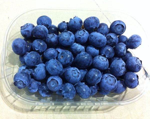 Organic blueberry from Spain supplied by BE Nature SAT - Fresh (=Chilled) Fresh Blueberry