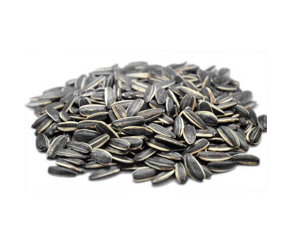 Sunflower Seed from Hungary supplied by MG. PRODUKT Ltd. - Kernel Sunflower Seed