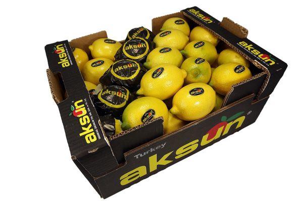 Lemon from 튀르키예 supplied by Aksun Tarim - Medium Quality 신선 레몬