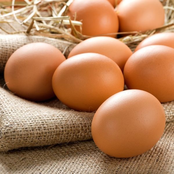 Fresh Chicken Egg from Germany supplied by Bauernhof Oderaue GbR - In Shell Chicken Egg