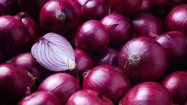 onion from 인도 supplied by NARAYANA AGRI SOLUTION PVT LTD - Snow Red (=Red in Snow) 머스터드 잎