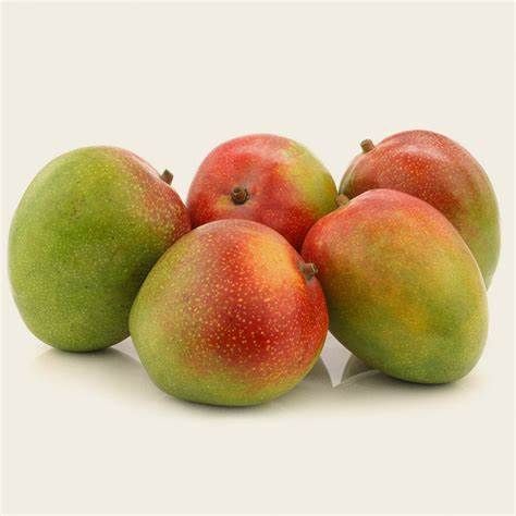 Kent Mango from Peru supplied by Golden Fresh Peru S.A.C. - Reddish Fresh Mango