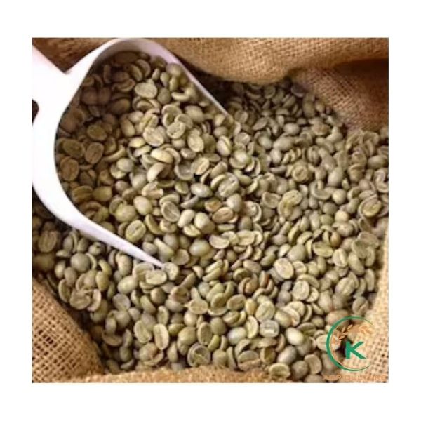 Commercial Arabica Green Coffee Beans from 베트남 supplied by K Agriculture - S16 (=Screen 16) 생원두