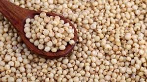 Quinoa from United States supplied by ORGANIC PARTNERS INTERNATIONAL, LLC - Natural Quinoa