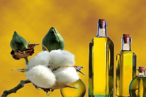Cotton Oil from 인도 supplied by CKP Products Ltd - Glass Jar (=Glass Bottle) 목화씨 오일