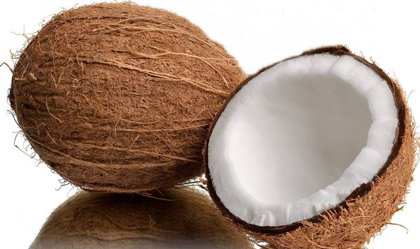 Coconut from 인도 supplied by Coral Way Export & Import - Raw 기타 신선 코코넛
