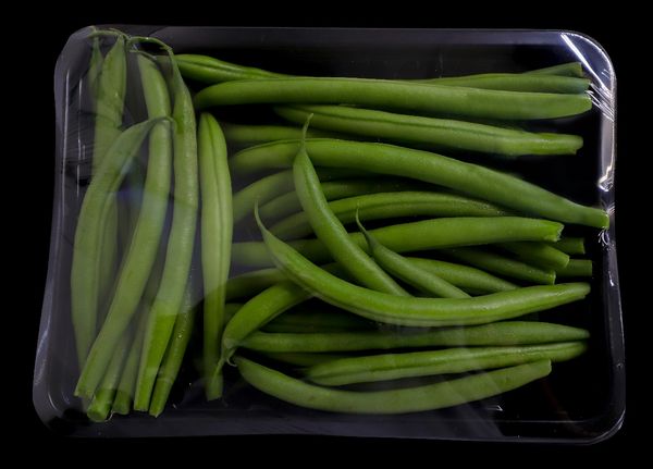 French Bean from 과테말라 supplied by Agrovegsa - 녹색 신선 콩