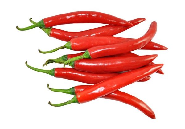 Chili from 우간다 supplied by GOURMET GARDENS LTD. - 신선 고추