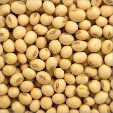 Soy beans from 탄자니아 supplied by Jj decor - High Quality 대두