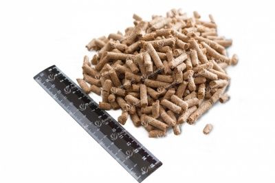 Wheat Bran from 러시아 supplied by JSC AminoSib - Brown 밀겨