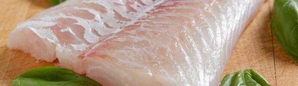 Pacific Cod from United States supplied by Northern Wave, LLC - Pacific Cod (=Gadus macrocephalus =Alaska cod =Gray cod =True cod) Frozen Cod