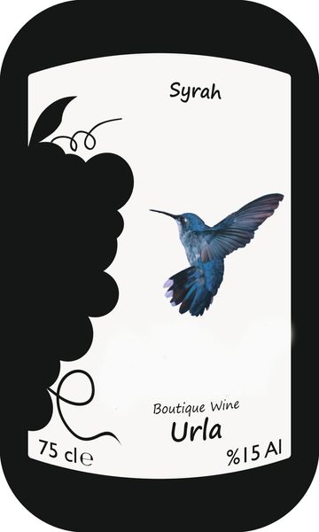 Şatomet Syrah from 튀르키예 supplied by MMG Şarapçılık(vineyard) - 레드 와인